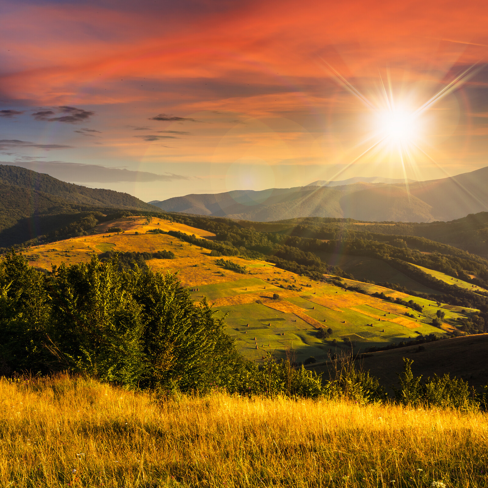 Trees in mountain valley at sunset